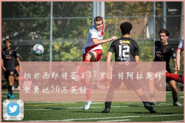 切尔西即将签下17岁小将阿拉奥转会费达50万英镑