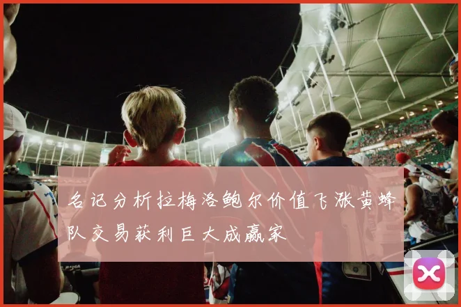 名记分析拉梅洛鲍尔价值飞涨黄蜂队交易获利巨大成赢家