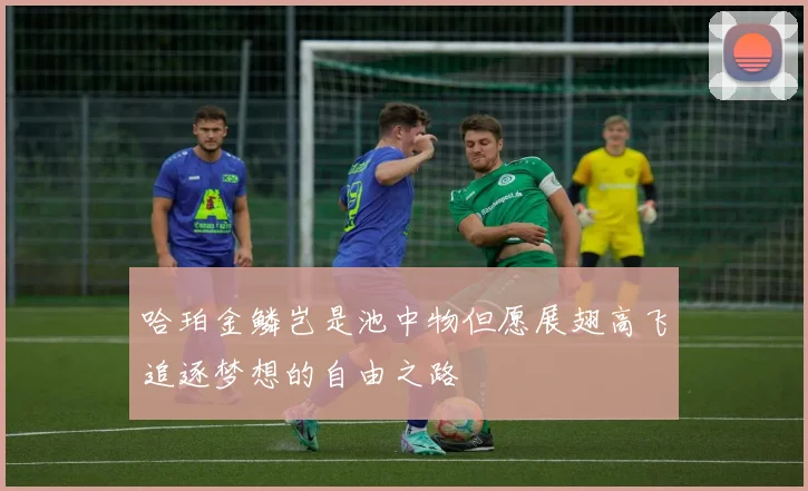 哈珀金鳞岂是池中物但愿展翅高飞追逐梦想的自由之路
